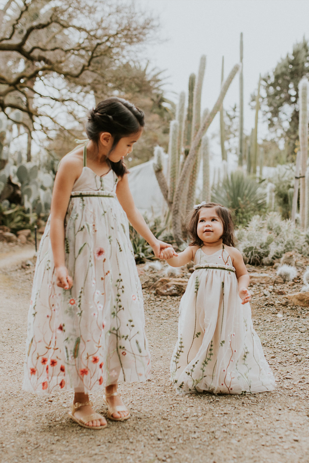 Garden Lace Dress