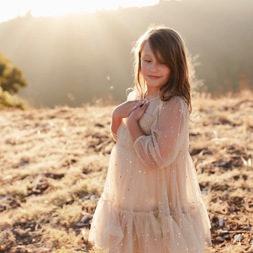 Starlet Dress - Gold