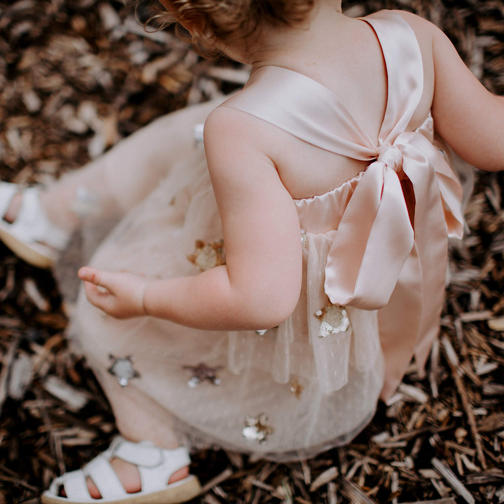 Little Princess Dress - Blush (FINAL SALE)
