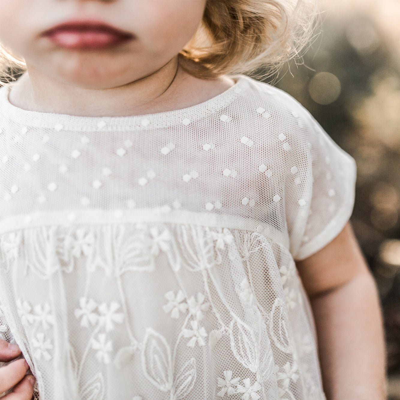Enchanted Lace Dress